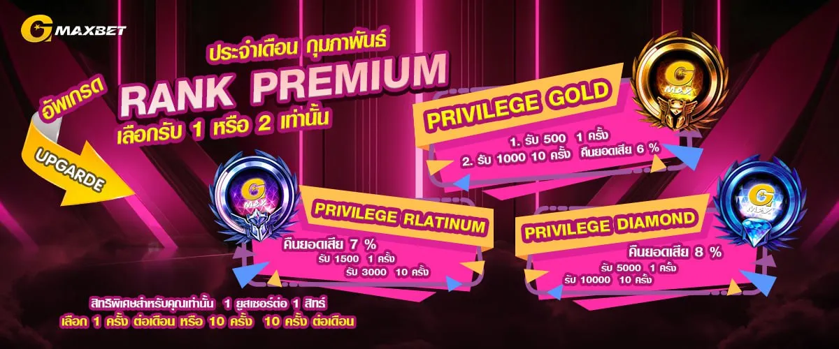 โปรโมชั่น ประจำเดือนกุมภาพันธ์ by gmaxbet